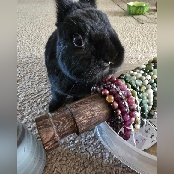 8mm Chariot With 6mm Auralite 23 Bracelet - Picture 10 of 10